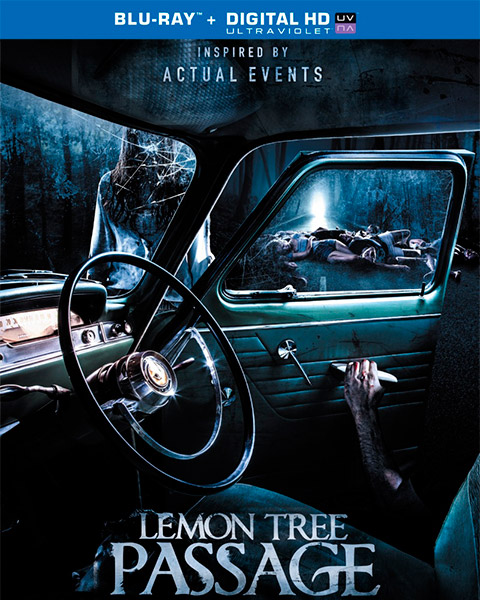 Лемон Три Пасседж / Происшествие на Лимонном шоссе / Lemon Tree Passage (2013) онлайн