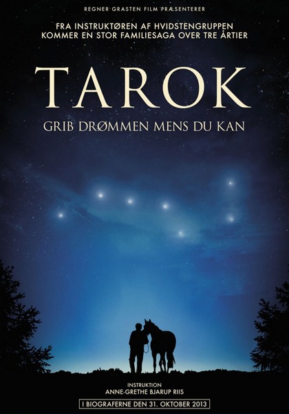 Поймать мечту / Tarok (2013) онлайн