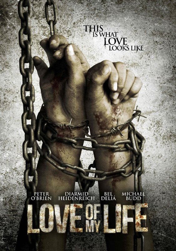 Любовь моей жизни / Love of my Life (2013) онлайн